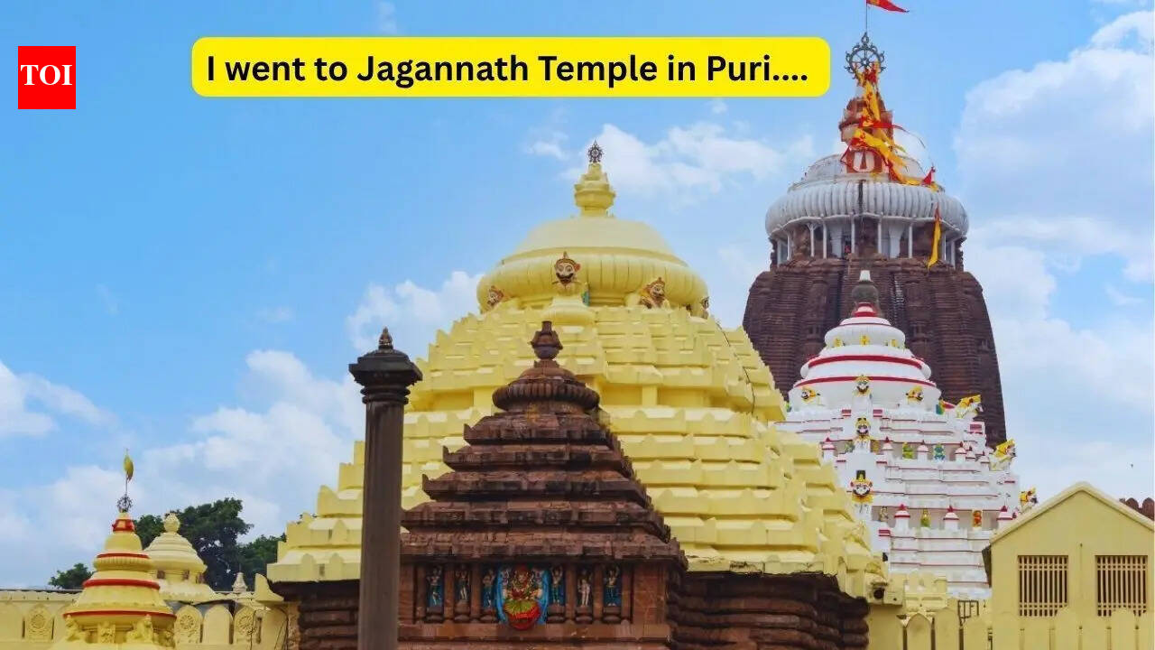 मी पुरीच्या जगन्नाथ मंदिरात गेलो आणि मला जे सापडले ते देव किंवा अध्यात्म नव्हते तर……